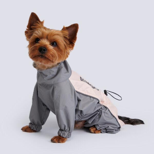 Дождевик с мембраной и водонепроницаемой застежкой для йорка и чихуа, XL, бежевый (мальчик)