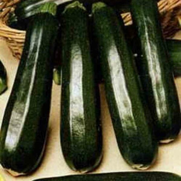 Кабачок Дракоша Гавриш Русский вкус