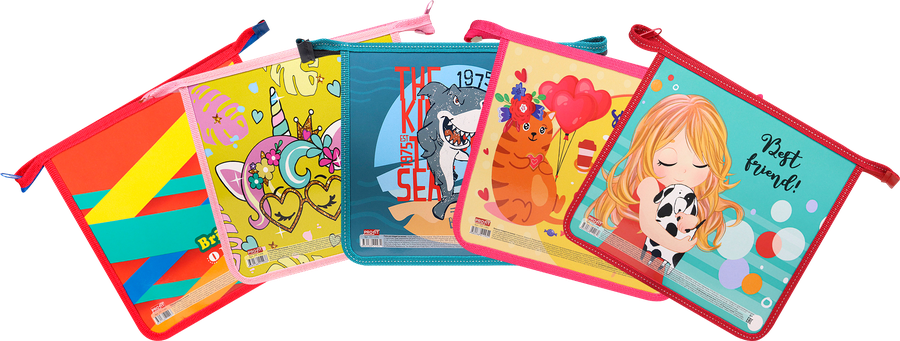 

Папка для тетрадей PROFIT А5 на молнии Арт. ПТ-1290/3/5/6/8/9 в ассортименте