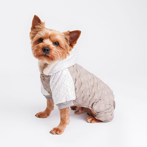 Комбинезон с капюшоном для собак, S, серый