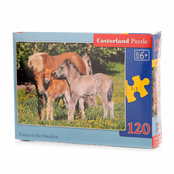 Пазл Бемби ТМ Castorland (Касторлэнд), 120 деталей