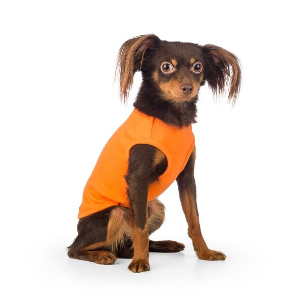 Футболка для собак L оранжевый (унисекс)