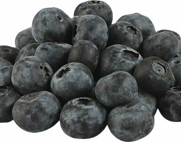 Голубика Россия 125 г