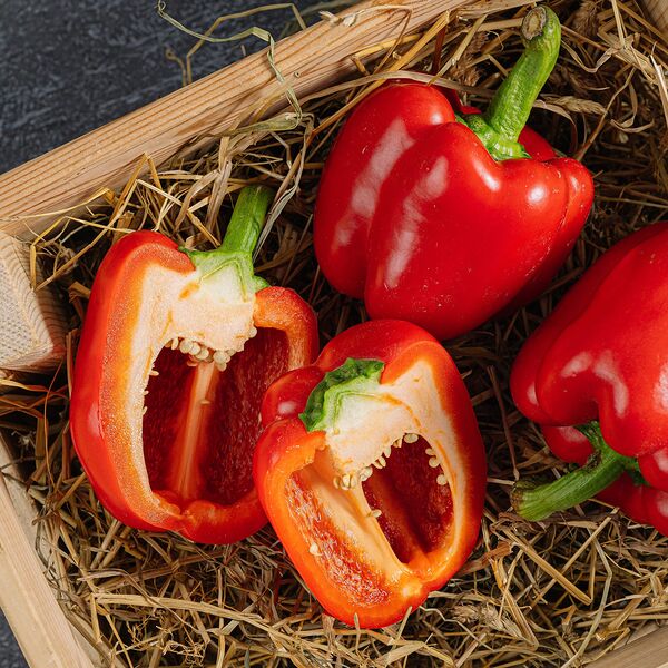 Перец болгарский красный