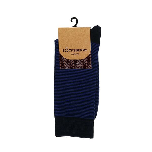 Мужские носки Socksberry Men's BK-20 Классические, р.29