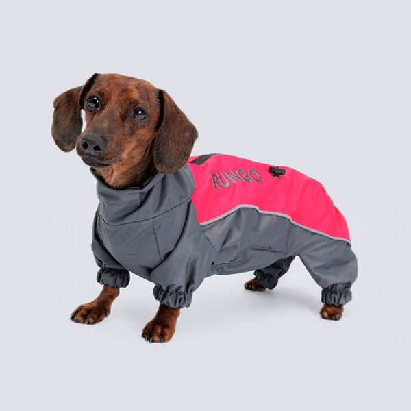 Дождевик с мембраной и резиновой молнией для кроличьей таксы, 33х49х28 см, малина (девочка)