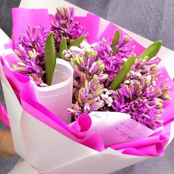 Гиацинтовое чудо