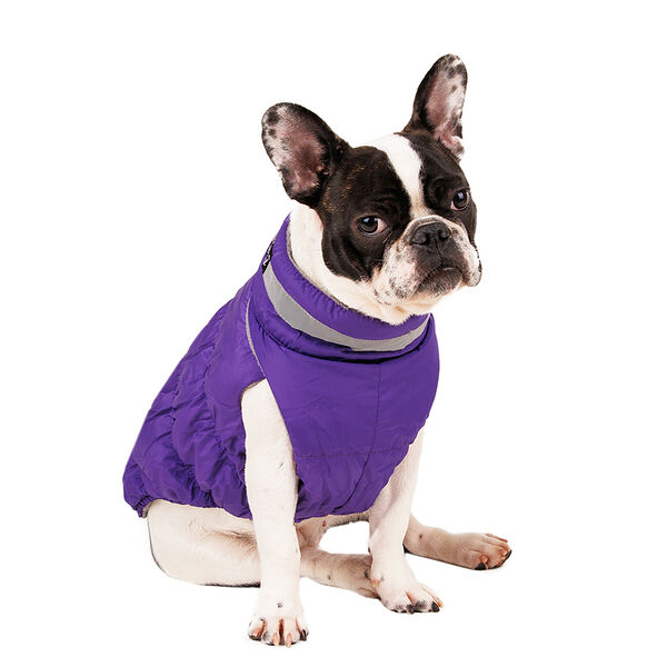 Куртка на молнии для собак S фиолетовый (унисекс)