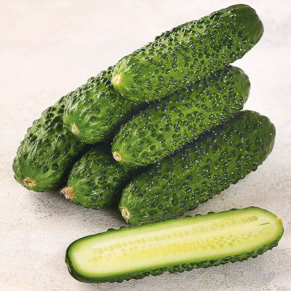 Огурцы корнишоны