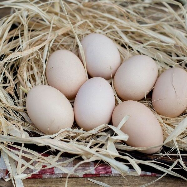 Яйцо куриное двухжелтковое 10 шт