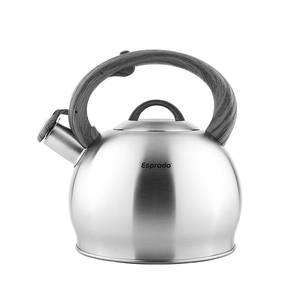 Чайник Esprado Globo со свистком, 2.7 л, нерж. сталь/индукция