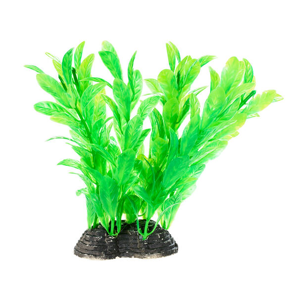 Растение зеленое с листьями 6*5*10см