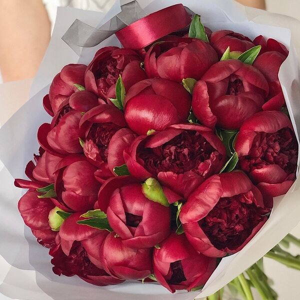 Букет из бордовых пионов