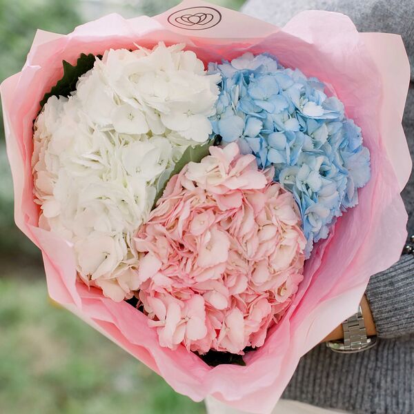 Букет из 3 гортензий нежный микс