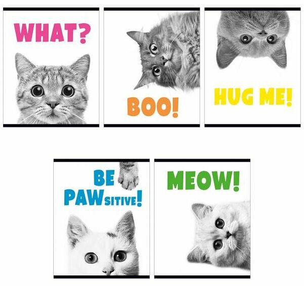 Тетрадь 48л кл уф лак academy style в ассортименте