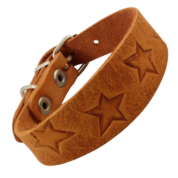 Гамма ошейник-мини кожаный одинарный 