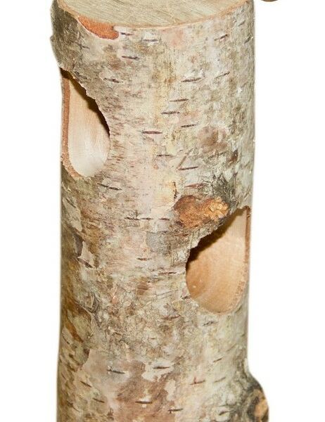 ParrotsLab PL1030 игрушка для попугаев 19 см.