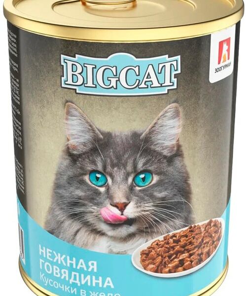Влажный корм для кошек Зоогурман Big Cat с говядиной 350г