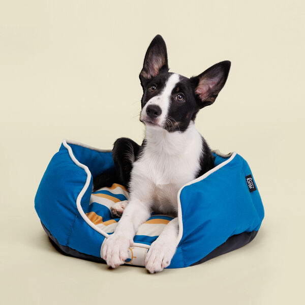 Лежак Аквамарин 55х40х13 см