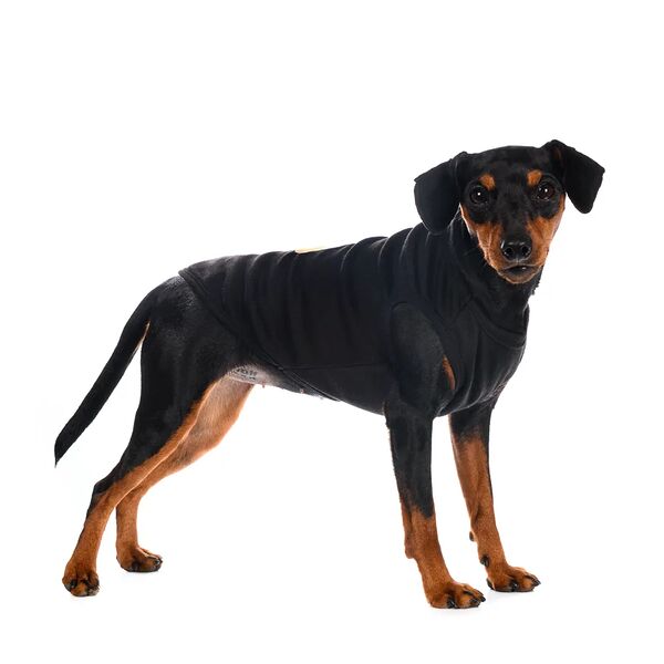 Футболка для собак 2XL черный (унисекс)