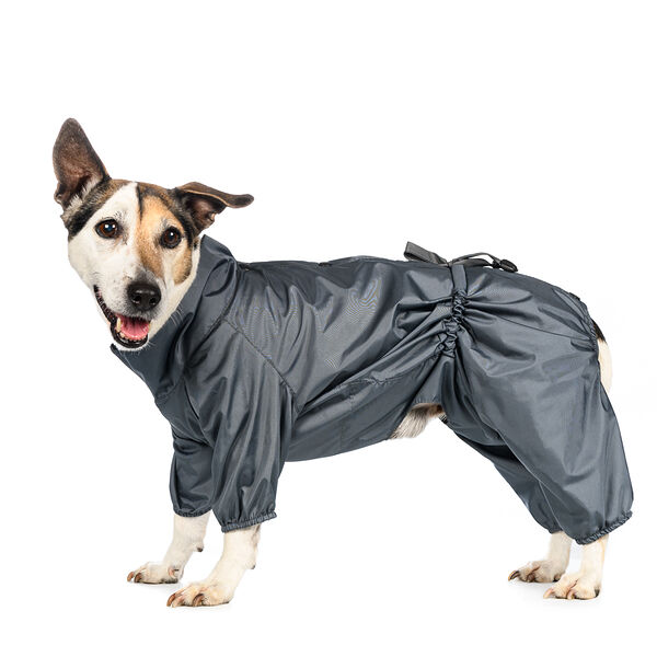 Дождевик для собак S серый (мальчик)