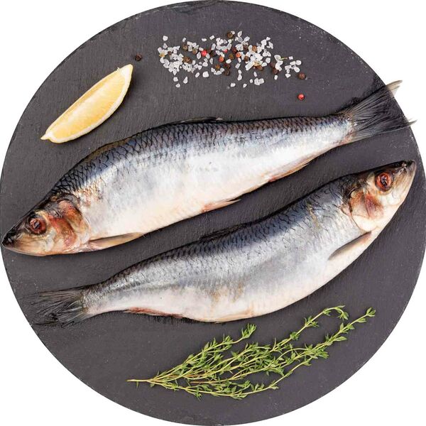 Сельдь олюторская тихоокеанская слабосолёная, (1 штука ~ 400 г)