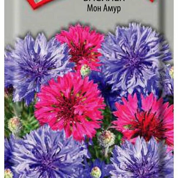Семена василек Мон Амур ТМ Поиск