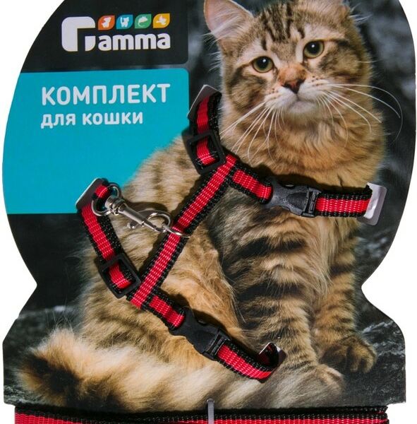 Комплект для кошки Гамма шлейка цветная и поводок 10мм