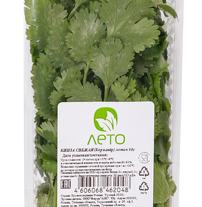 Кинза свежая Лето