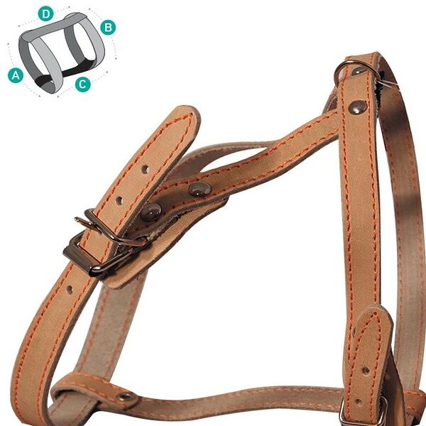 Гамма шлейка кожаная S