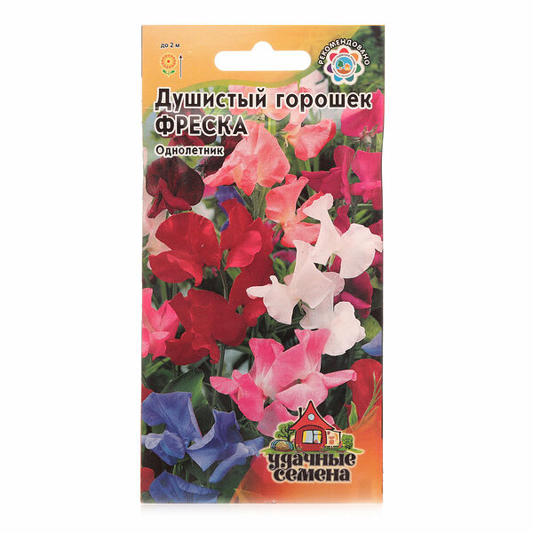Душистый горошек фреска ТМ Удачные семена