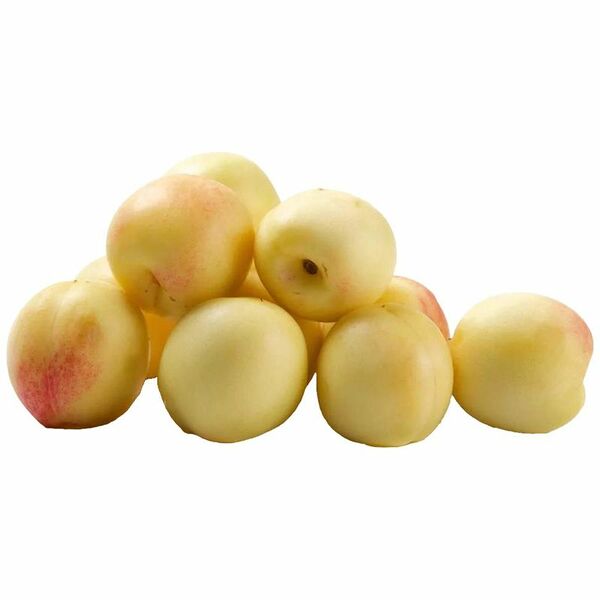 Нектарины Гибрид белые