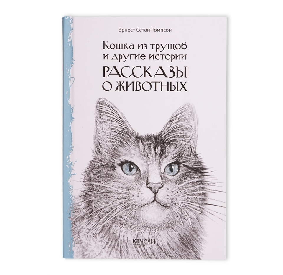 

Книга Кошка из трущоб, Россия