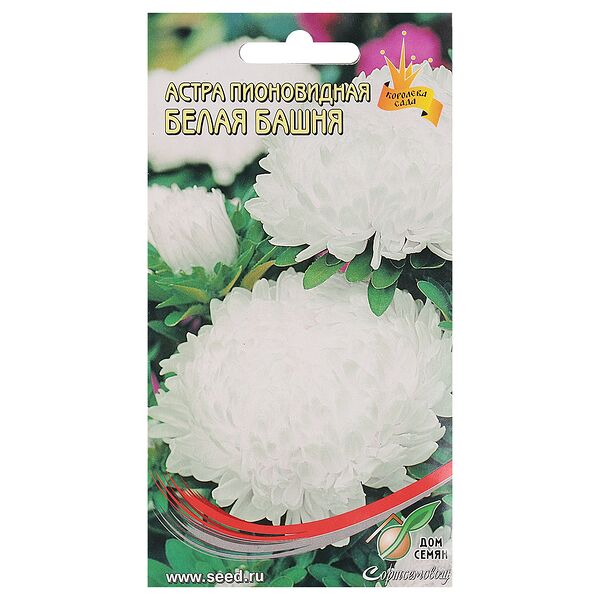 Семена Астра пионовидная Белая башня