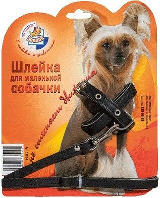 Зооник шлейка кожа для маленьких собак на блистере (+поводок 1.5 м) 1,5 м.