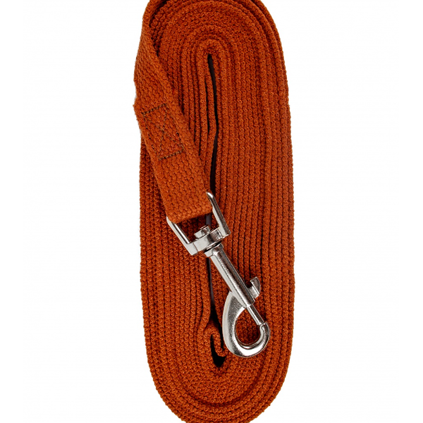 Поводок для собак брезентовый ЗООНИК коричневый 5м*20мм