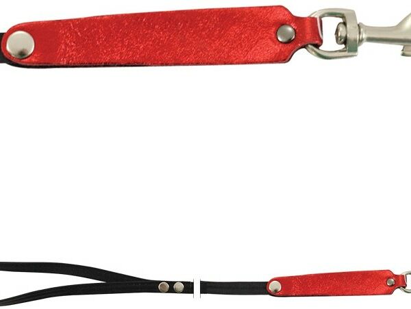 Гамма поводок-мини кожаный 10 х 1100 мм