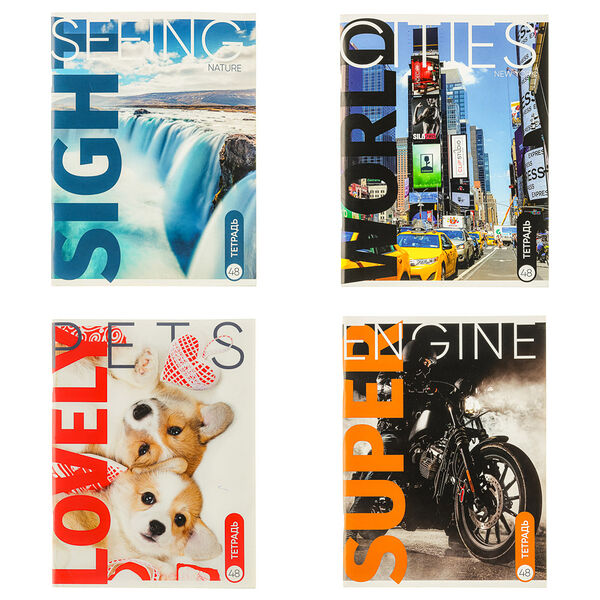 Clipstudio тетрадь а4 48л. в клетку, блок №2, обложка картон 240г/м2, скрепка, 4 дизайна