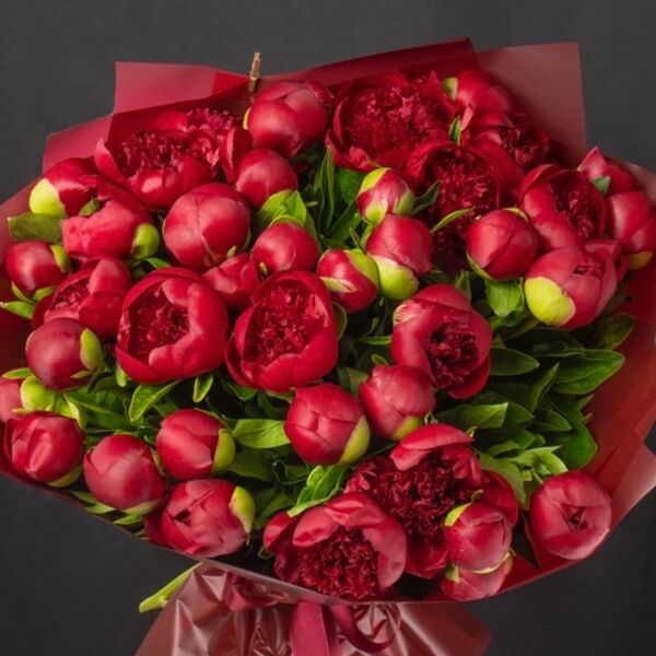 Букет из красных пионов