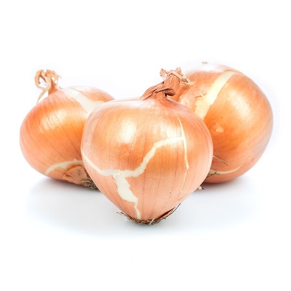 Лук репчатый