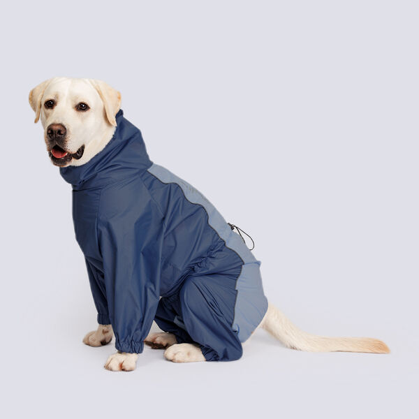 Дождевик для лабрадора-ретривера и хаски, 63x94x60 см, джинсовый (мальчик)