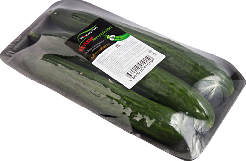 

Огурцы среднеплодные гладкие