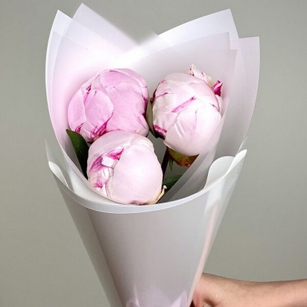 Букет из 3 розовых пионов