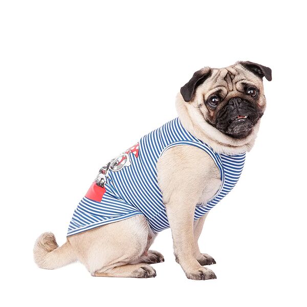 Футболка для собак с собачкой 2XL голубой (унисекс)