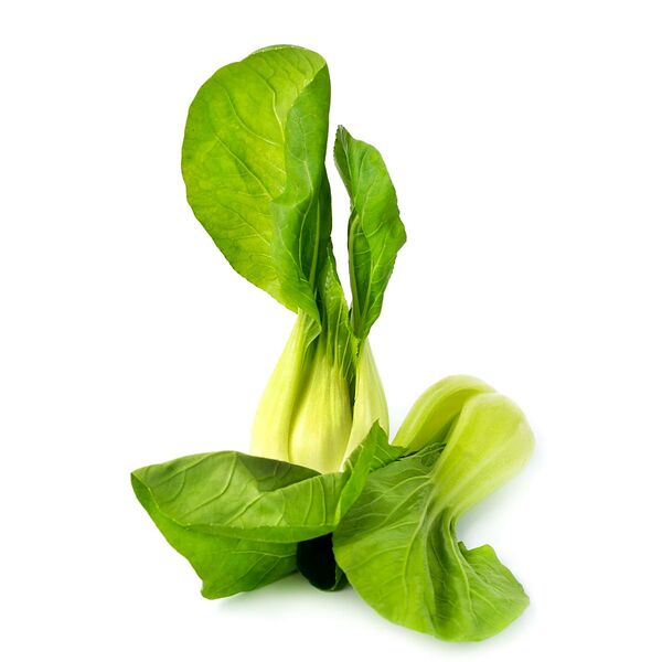 Салат пак-чой зеленый