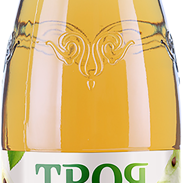 Нектар ТРОЯ Яблочный