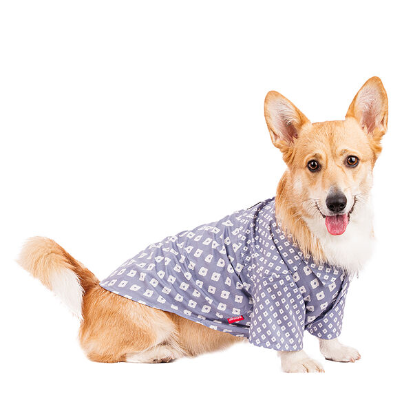 Рубашка для собак 2XL голубой (унисекс)