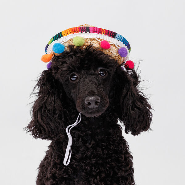 Шляпка Rurri соломенная Алоха 16см