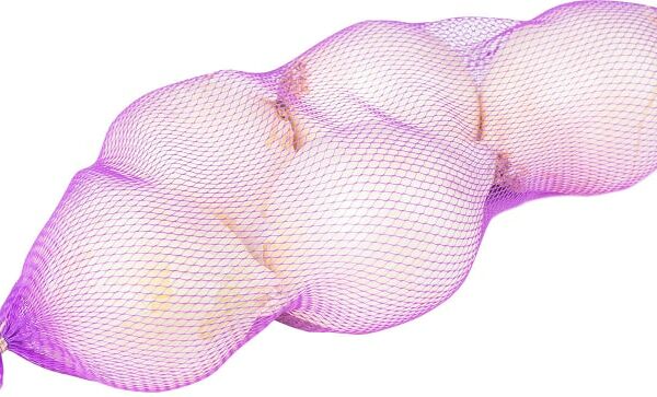 Лук репчатый белый 500г упаковка