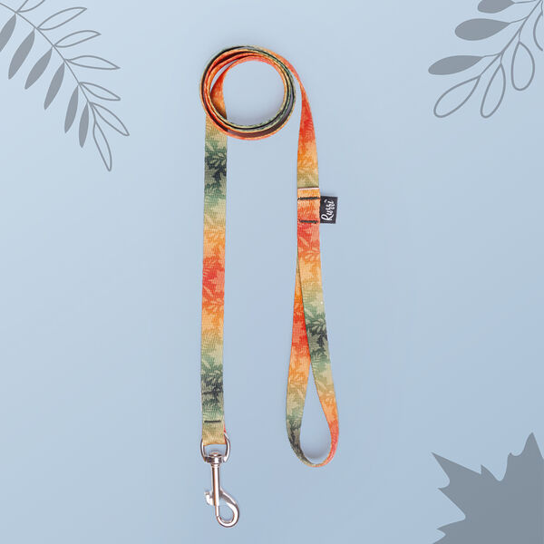 Поводок для собак Bright City, длина 120 см, ширина 15 мм